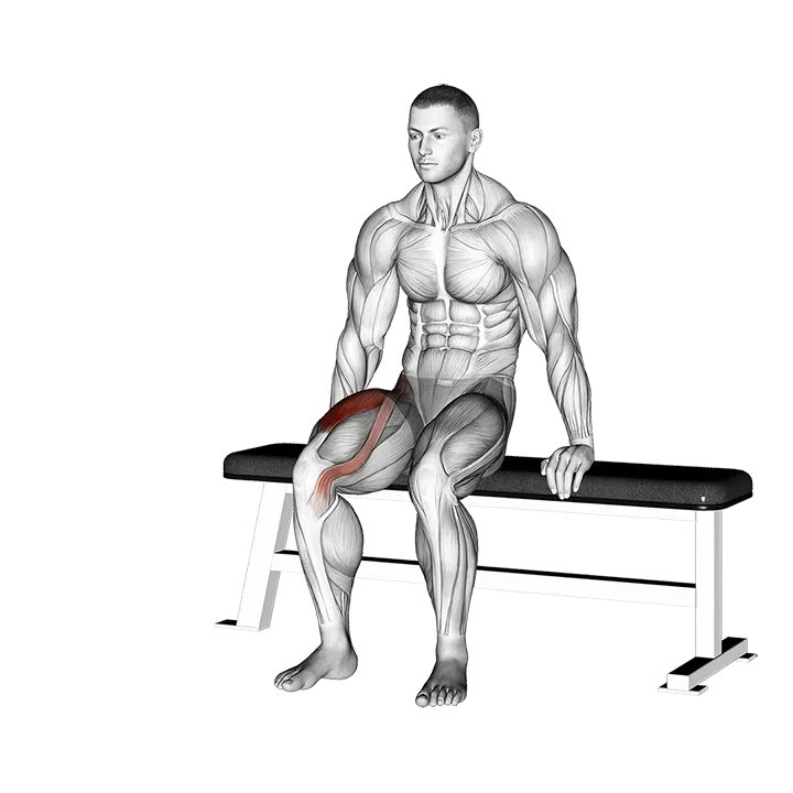 Chair Leg Extended Stretch exercise animation (Male)