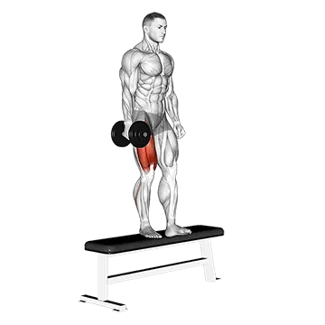 Dumbbell Bench One Leg Squat