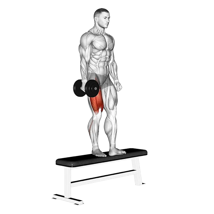 Dumbbell Bench One Leg Squat exercise animation (Male)