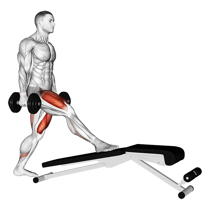 Dumbbell Decline Bench Lunge exercise animation (Male)