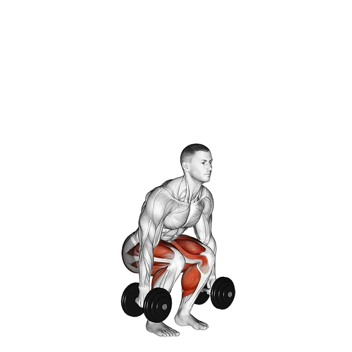 Dumbbell Jumping Squat exercise animation (Male)