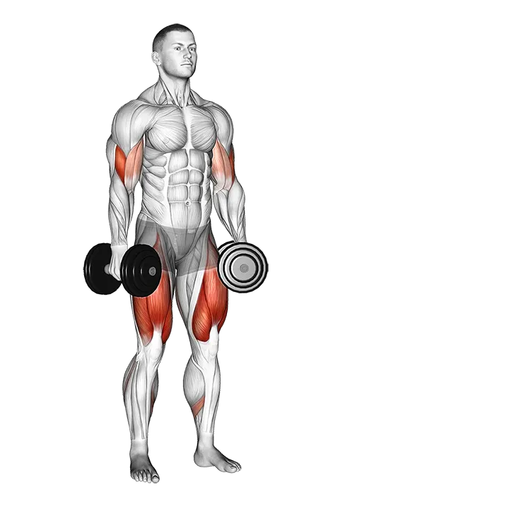 Dumbbell Lateral Lunge with Bicep Curl exercise animation (Male)