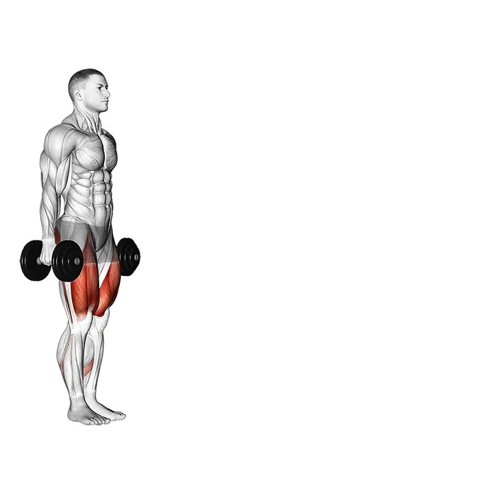 Dumbbell Walking Lunges exercise animation (Male)