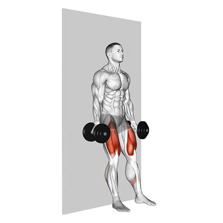 Dumbbell Wall Squat exercise animation (Male)