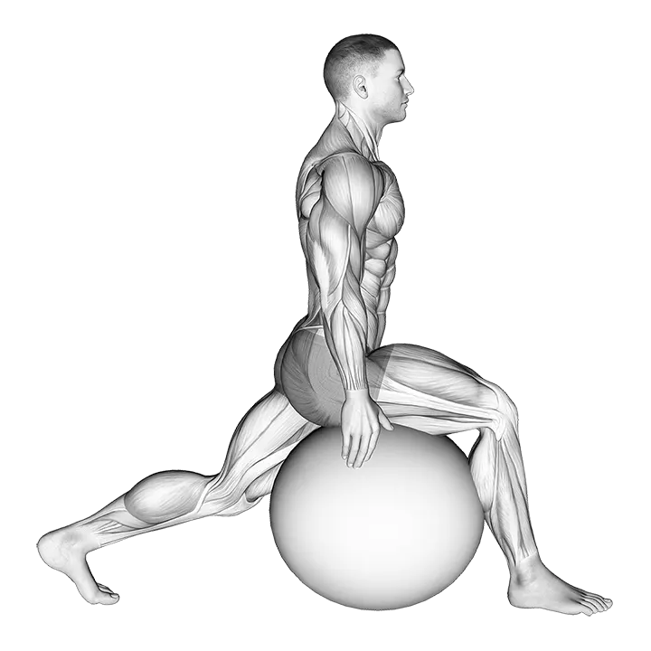 Exercise Ball Hip Flexor Stretch exercise animation (Male)
