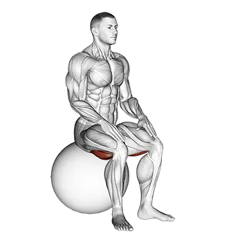 Exercise Ball Seated Hamstring Stretch