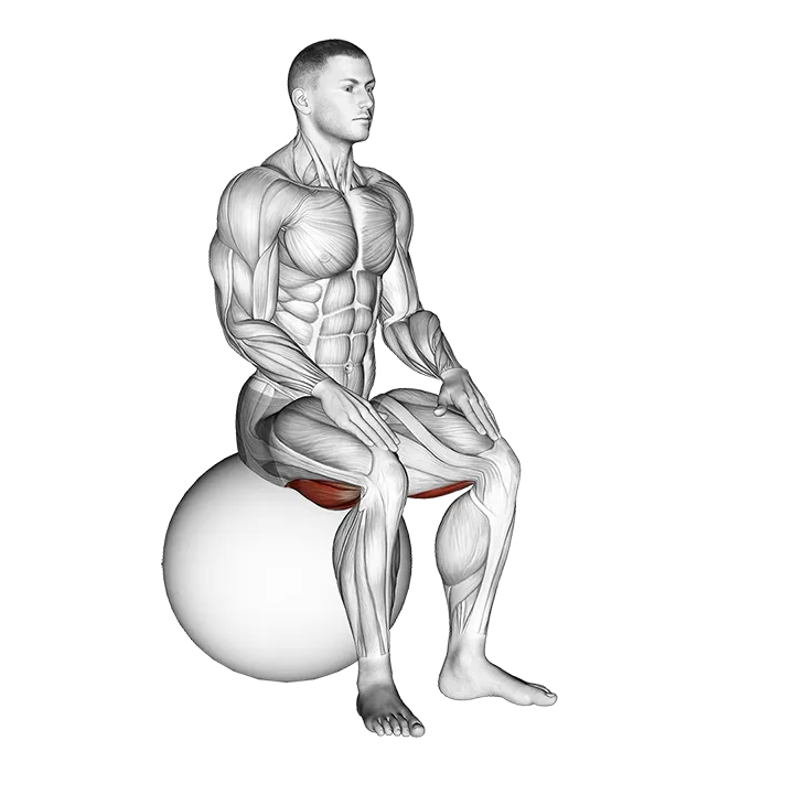 Exercise Ball Seated Hamstring Stretch exercise animation (Male)