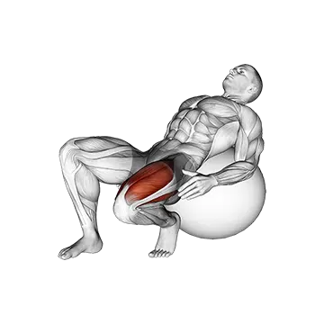 Exercise Ball Seated Quad Stretch