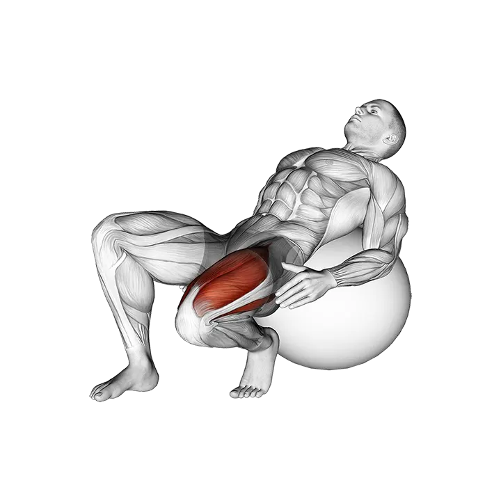 Exercise Ball Seated Quad Stretch exercise animation (Male)