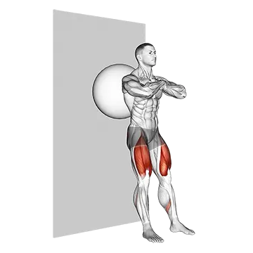 Exercise Ball Wall Squat