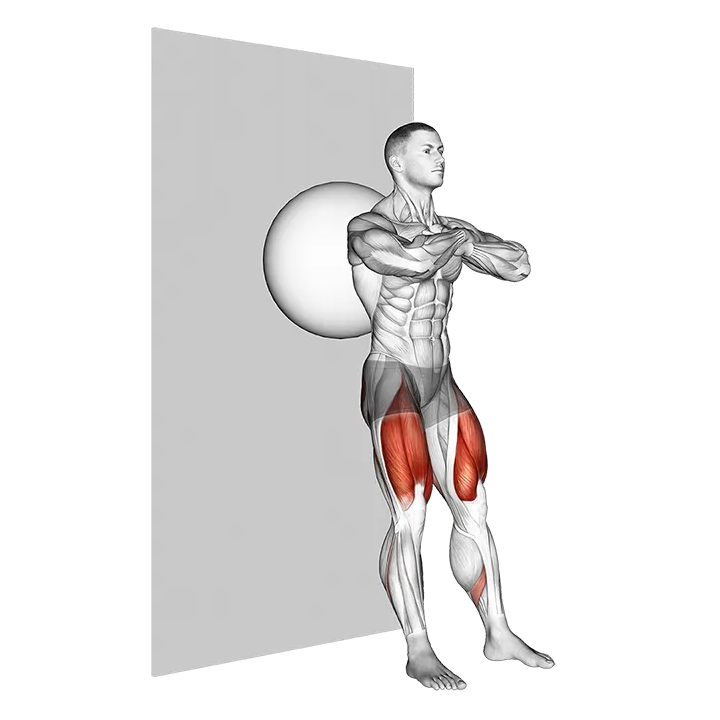 Exercise Ball Wall Squat exercise animation (Male)