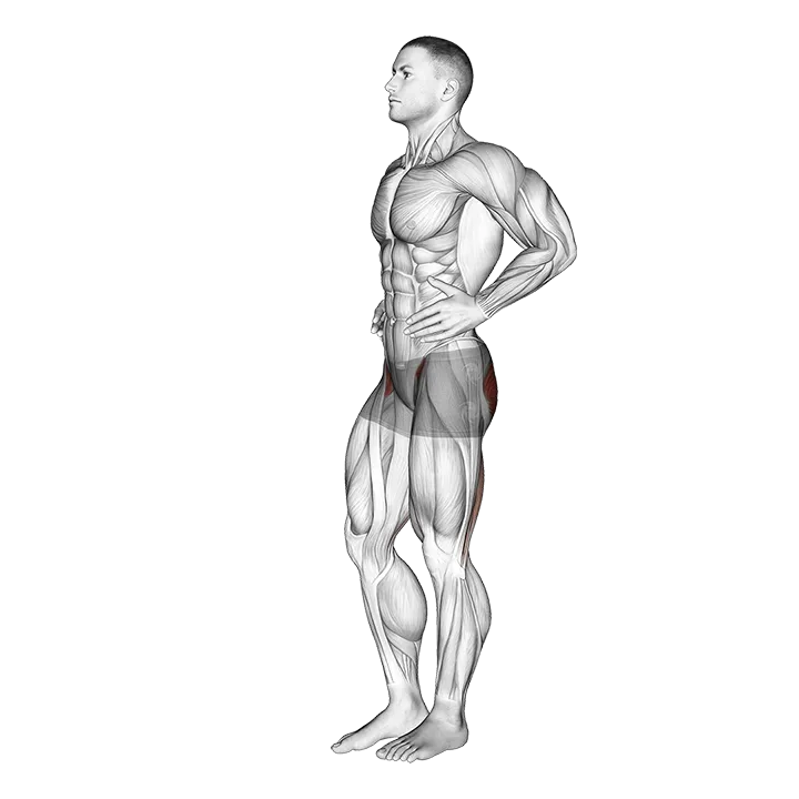Front Back Leg Raises exercise animation (Male)