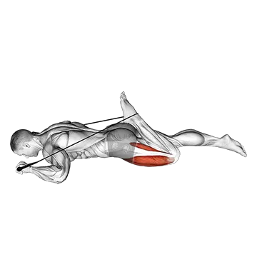 Intermediate Hip Flexor and Quad Stretch
