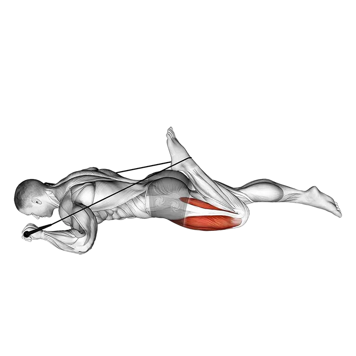 Intermediate Hip Flexor and Quad Stretch exercise animation (Male)