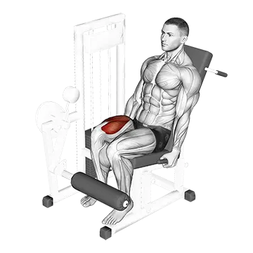 Lever One Leg Extension