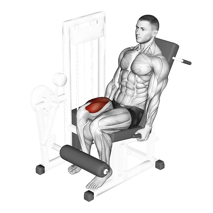 Lever One Leg Extension exercise animation (Hombre)