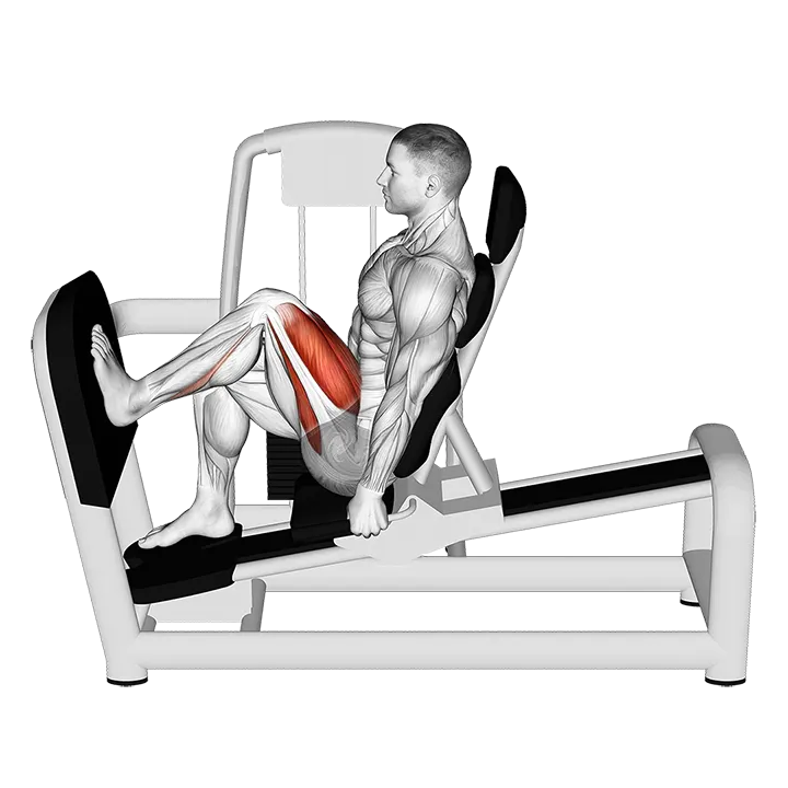 Lever Seated One Leg Squat exercise animation (Male)
