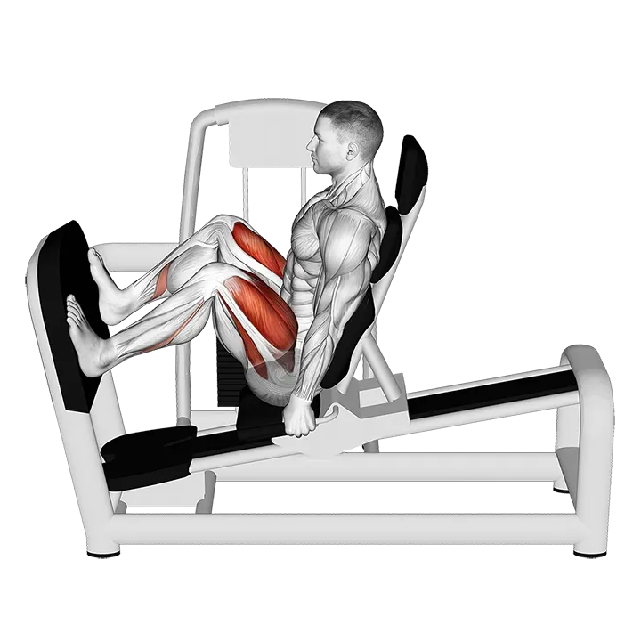 Lever Seated Wide Squat exercise animation (Male)