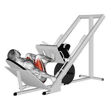 Sled 45├╕ Narrow Stance Leg Press