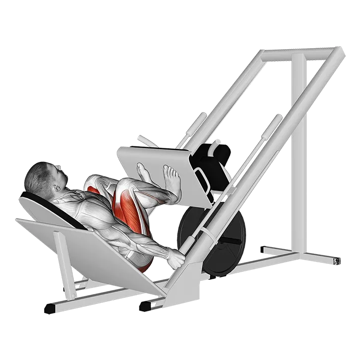 Sled 45° Narrow Stance Leg Press exercise animation (Male)