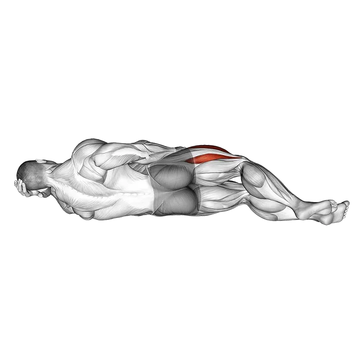 Lying Hip Flexor exercise animation (Male)