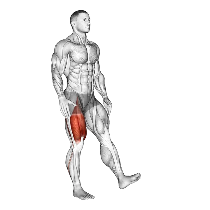 One Leg Quarter Squat exercise animation (Male)