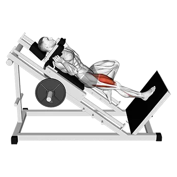 Sled One Leg Hack Squat
