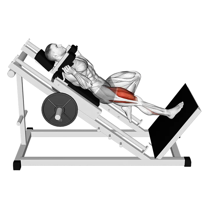 Sled One Leg Hack Squat exercise animation (Male)
