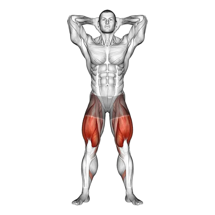 Prisoner Squat exercise animation (Male)
