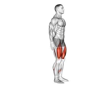 Bodyweight Rear Lunge