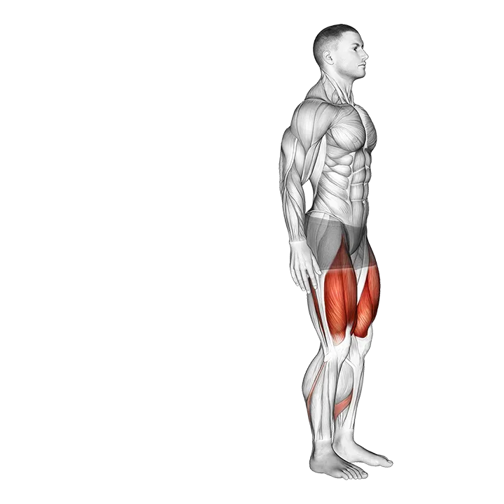 Bodyweight Rear Lunge exercise animation (Male)