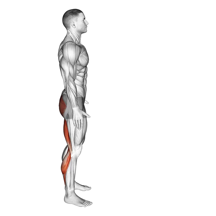 Runners Stretch exercise animation (Male)