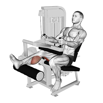 Lever Seated One Leg Curl
