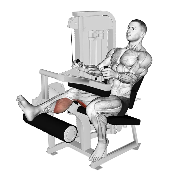 Lever Seated One Leg Curl exercise animation (Male)