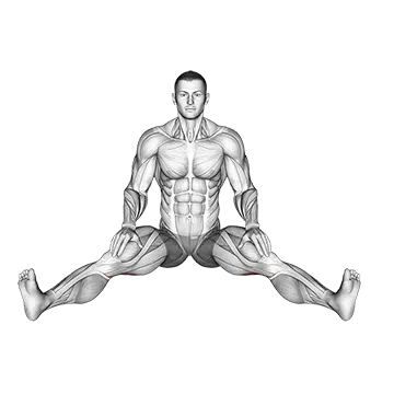 Seated Wide Angle Pose Sequence