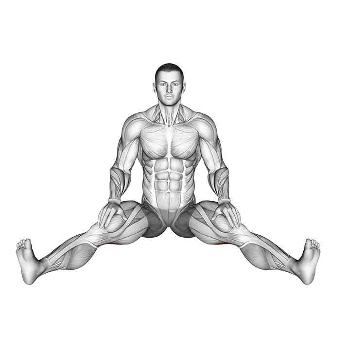 Seated Wide Angle Pose Sequence exercise animation (Male)