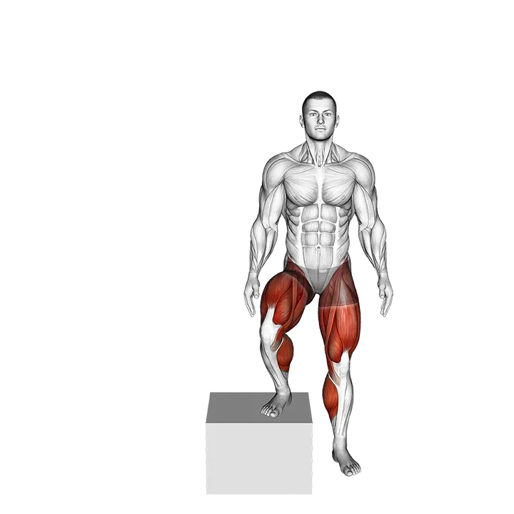 Side to Side Box Shuffle exercise animation (Male)