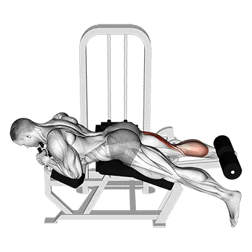 Lever Lying Single Leg Curl