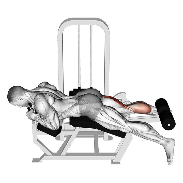 Lever Lying Single Leg Curl exercise animation (Hombre)