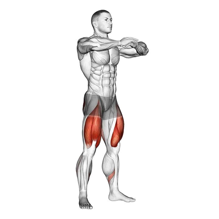 Sit Squat exercise animation (Male)