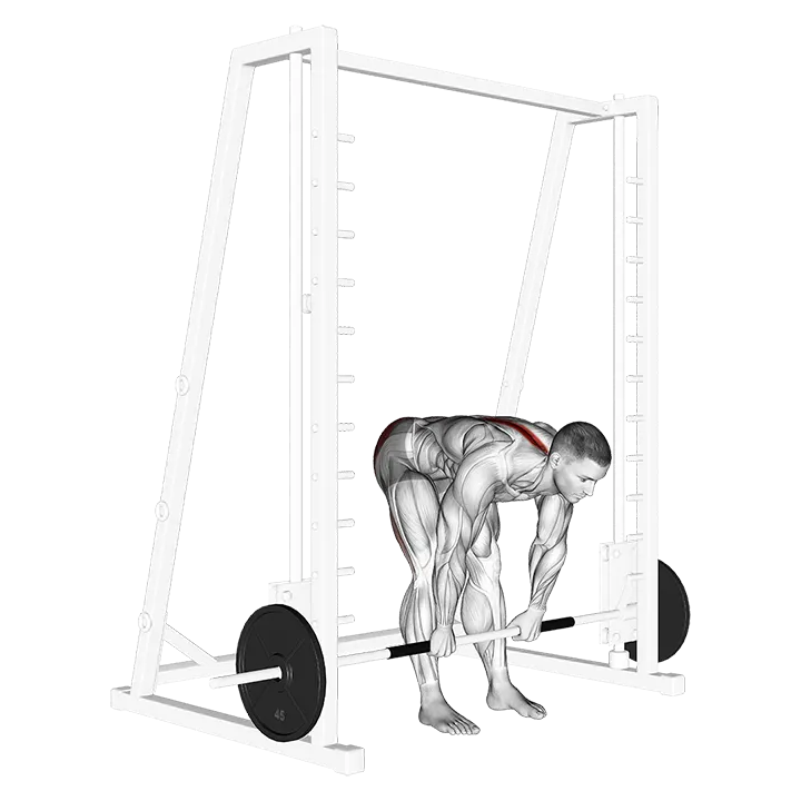 Smith Stiff Legged Deadlift exercise animation (Male)