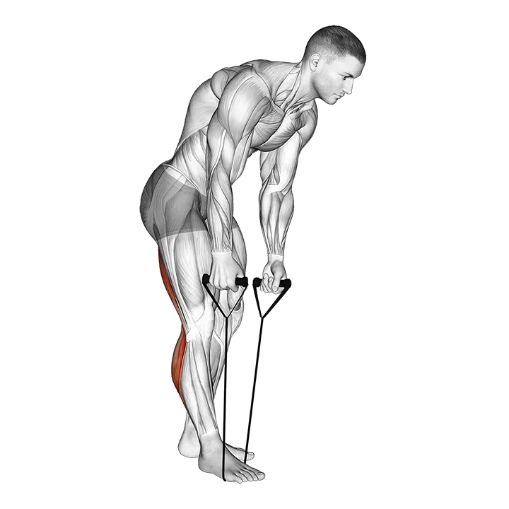 Standing Hamstring and Calf Stretch with Strap exercise animation (Männlich)