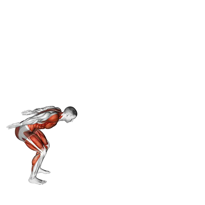 Standing Long Jump exercise animation (Male)