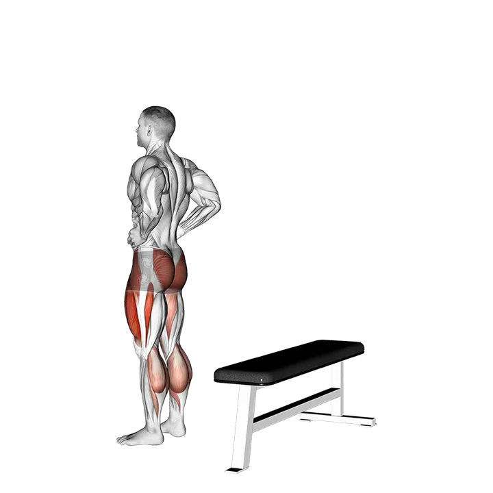 Transverse Step Up exercise animation (Male)