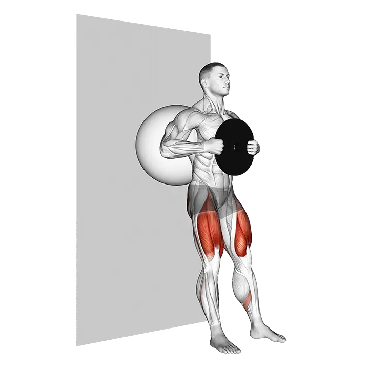 Weighted Exercise Ball Wall Squat exercise animation (Male)