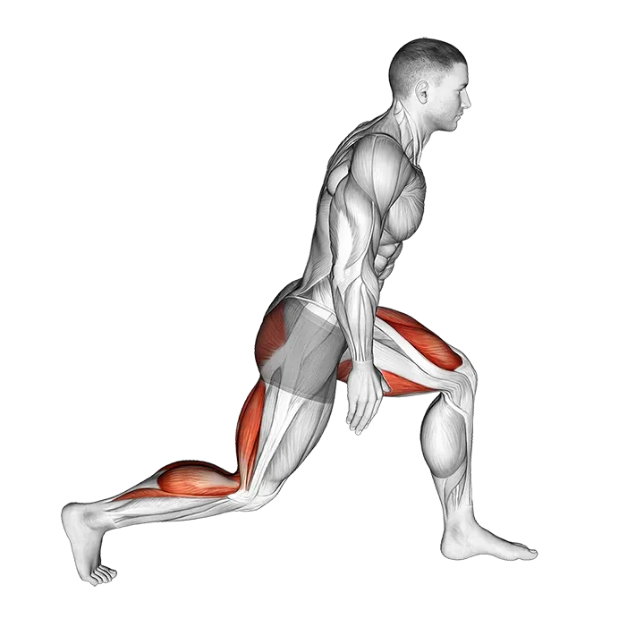 World Greatest Stretch exercise animation (Male)