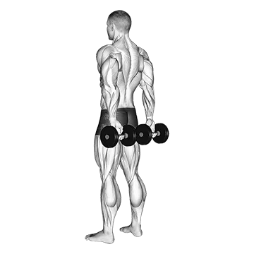 Dumbbell Behind Back Finger Curl