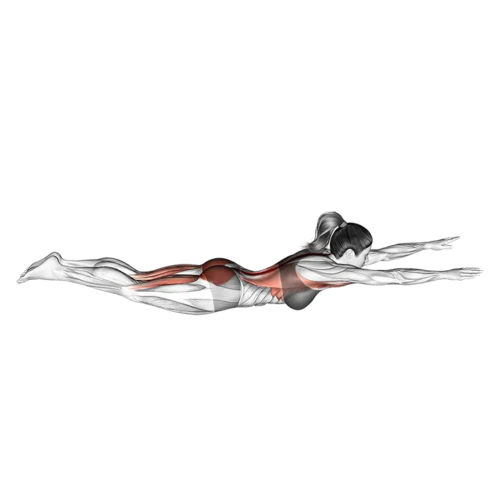 Swimmer exercise animation (Female)