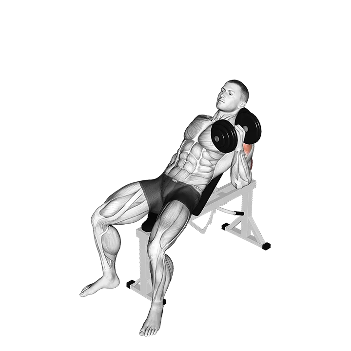 Dumbbell Incline One Arm Hammer Press exercise animation (Male)