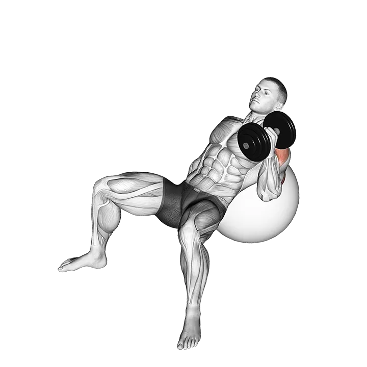 Dumbbell Incline One Arm Hammer Press on Exercise Ball exercise animation (Male)